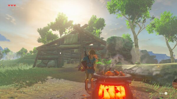 zelda cooking