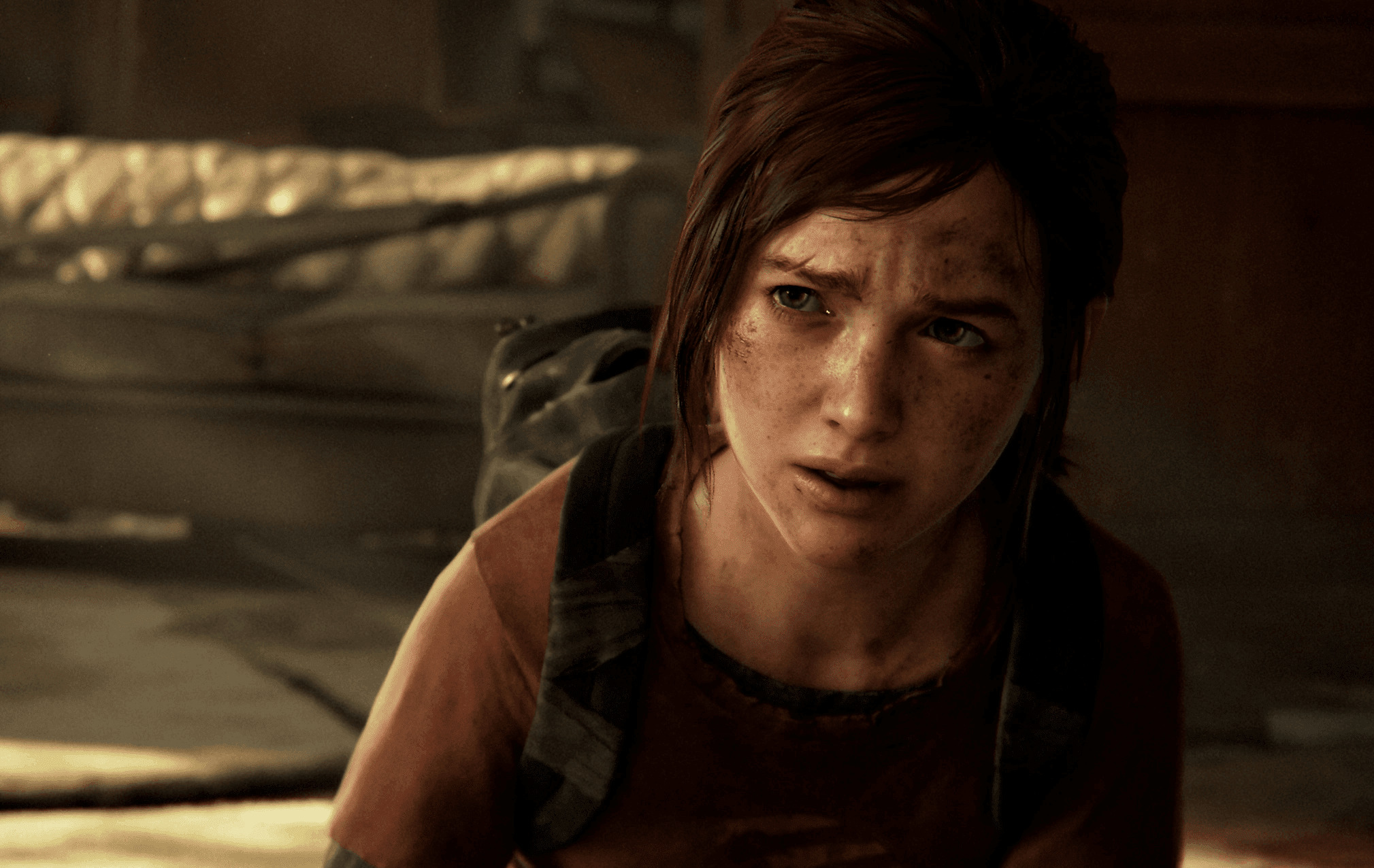 The Last of Us Part 1 PC